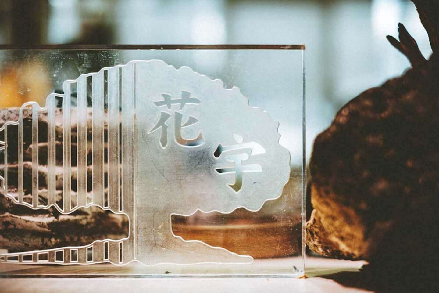ビザールプランツのパイオニア西畠勲造にフォーカスした展示が開催中