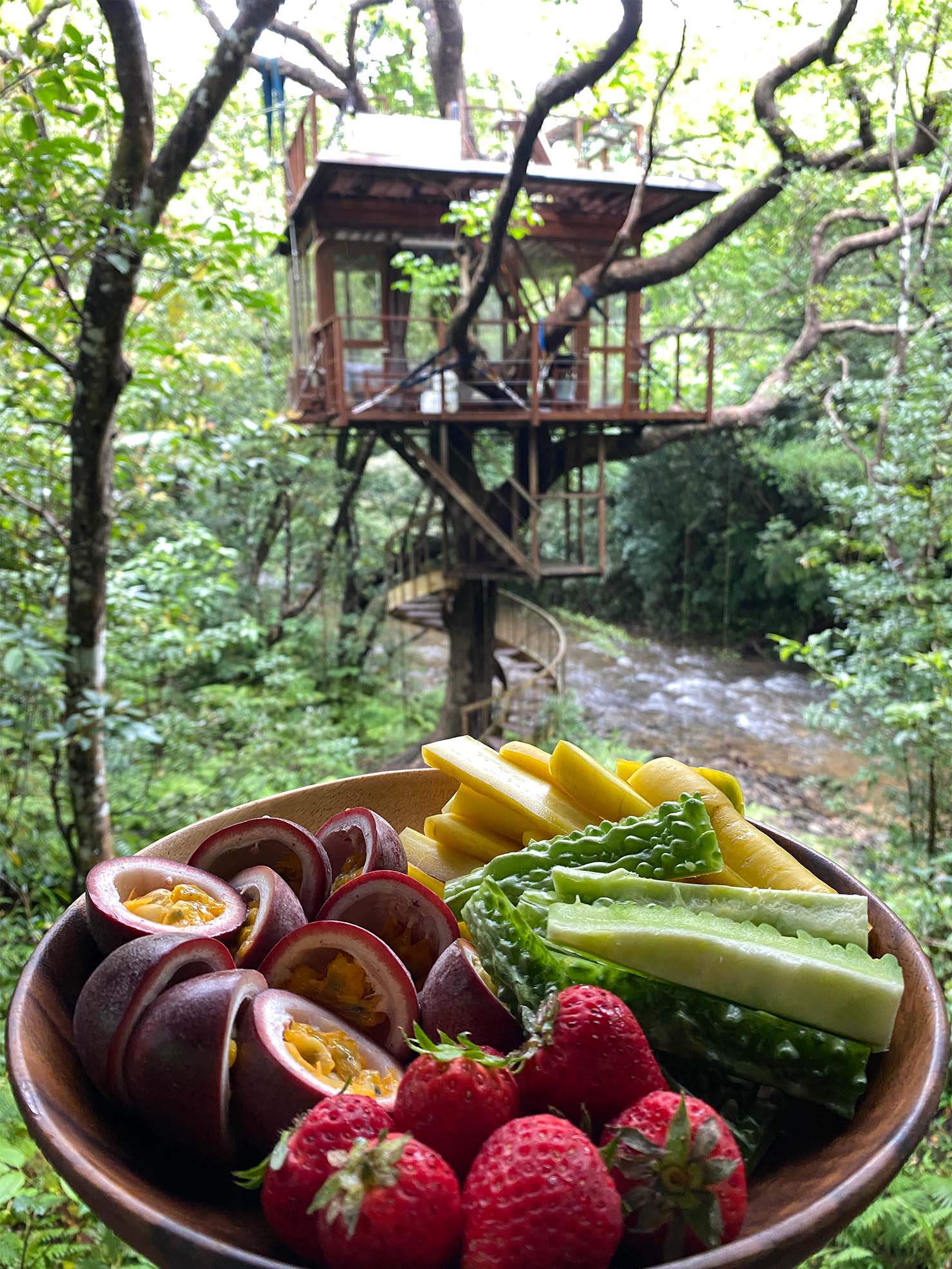 Treeful Treehouse