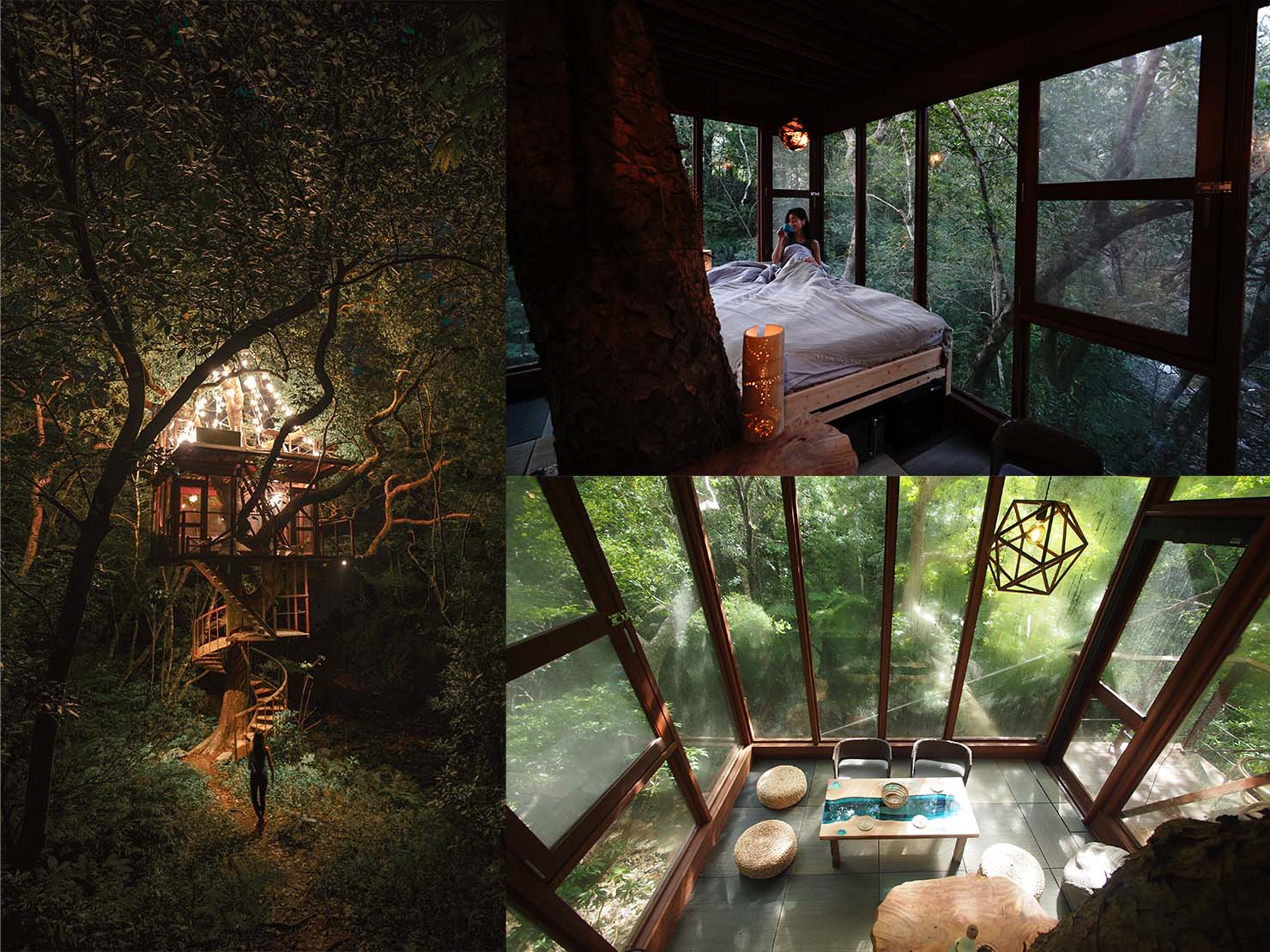 Treeful Treehouse