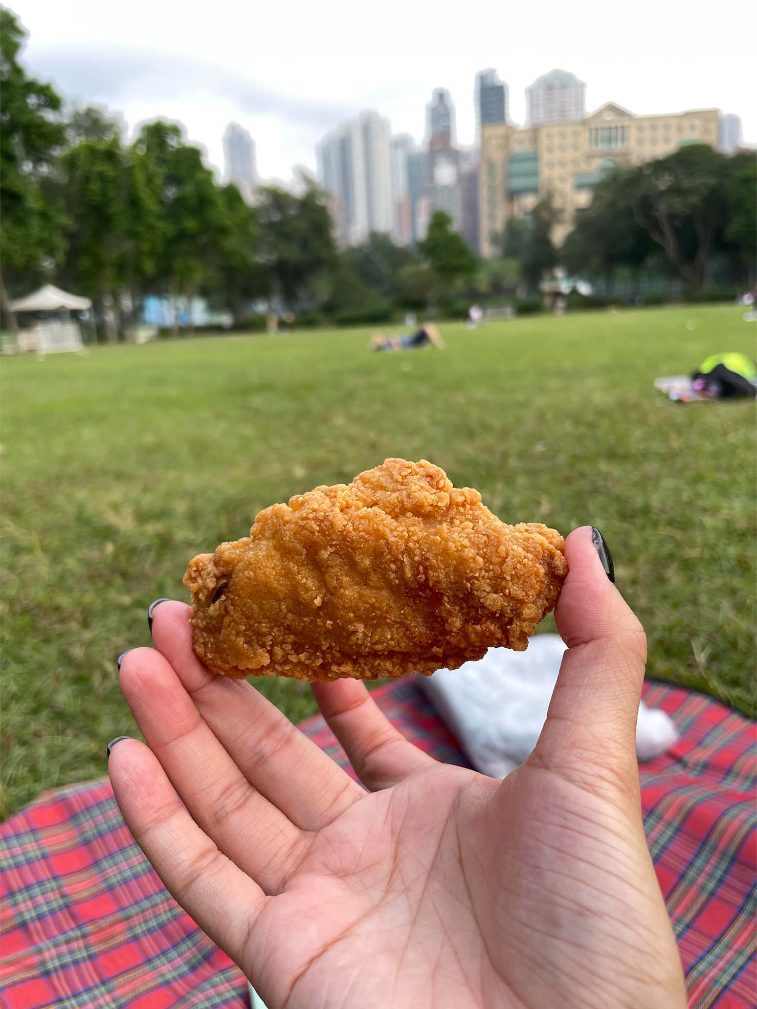 フライドチキン
