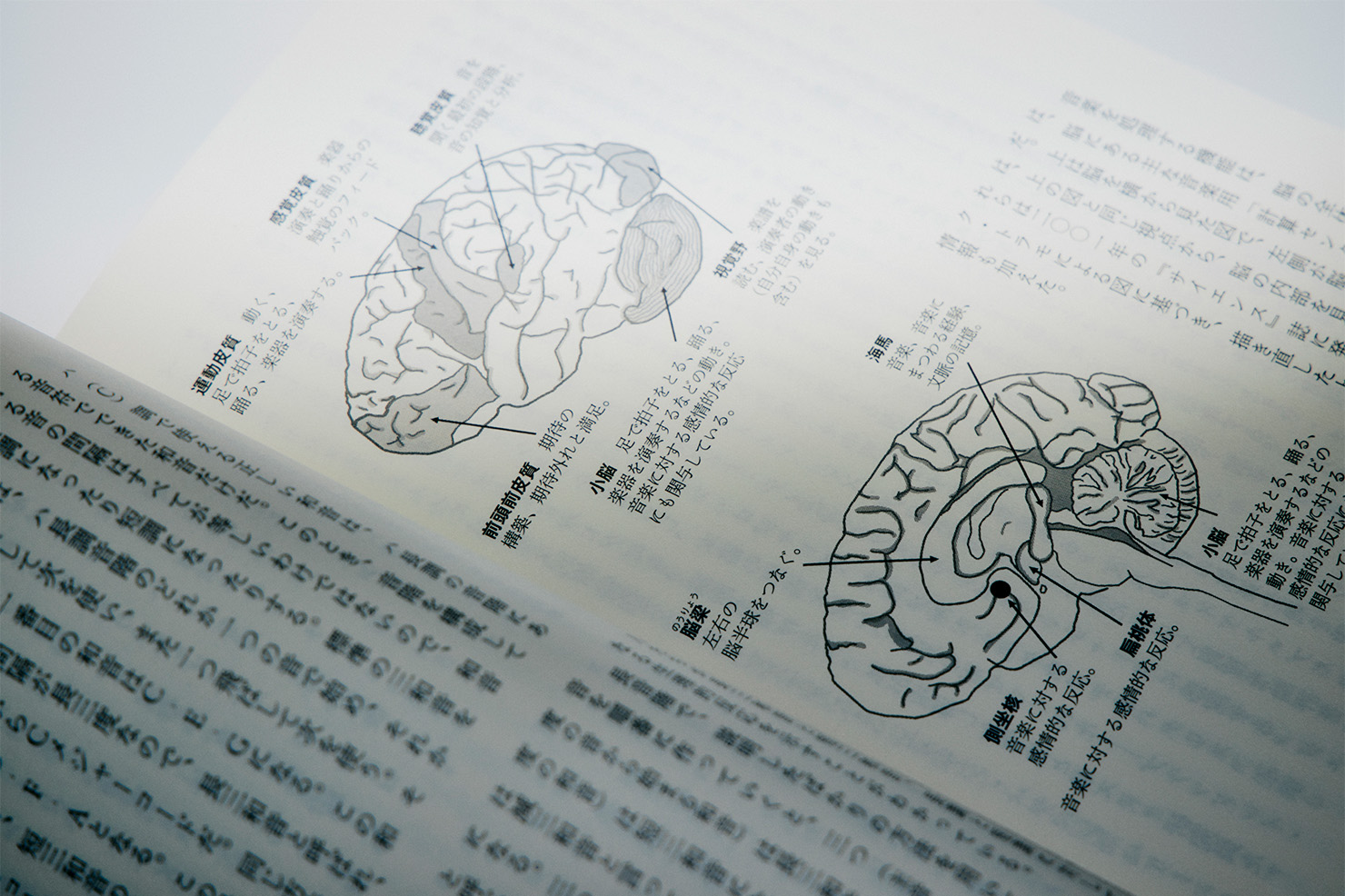 『新版 音楽好きな脳 ～人はなぜ音楽に夢中になるのか～