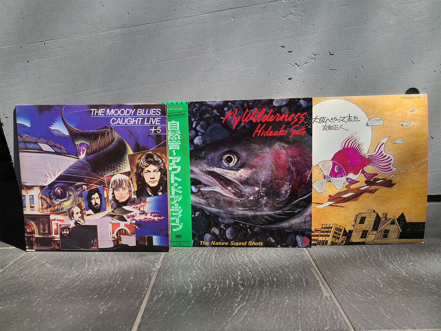 THE MOODY BLUES『CAUGHT LIVE +5』、佐藤秀明『自然音～アウト・ドア・ライフ = My Wilderness』、友部正人*「大阪へやって来た」