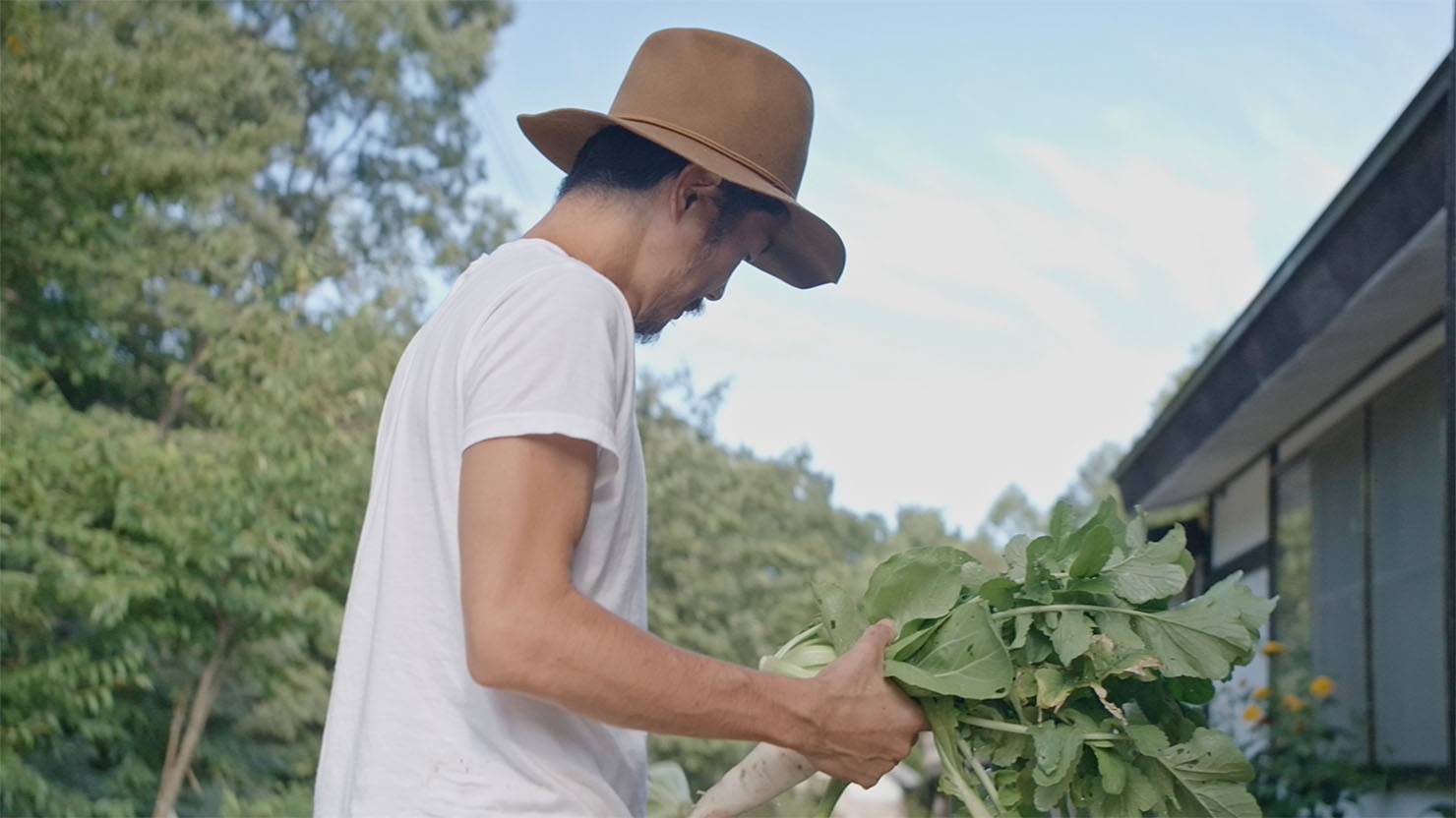 「最近はスーパーに行くのも面倒なので、採れた野菜を食べて暮らしている」とのこと。