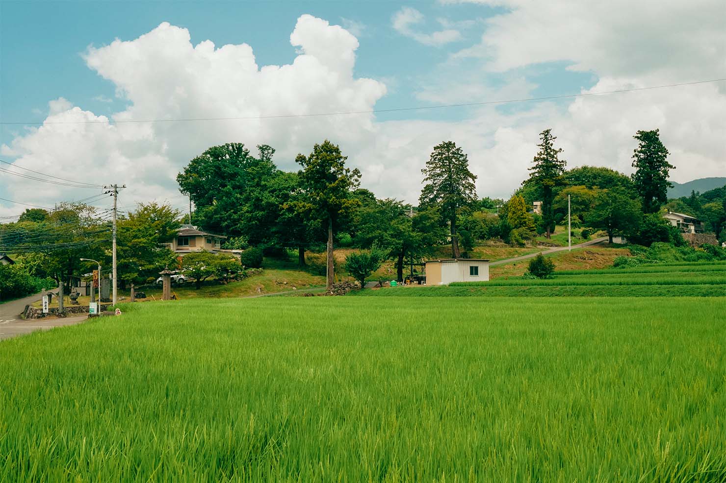 施設外に広がる北杜市の田園風景