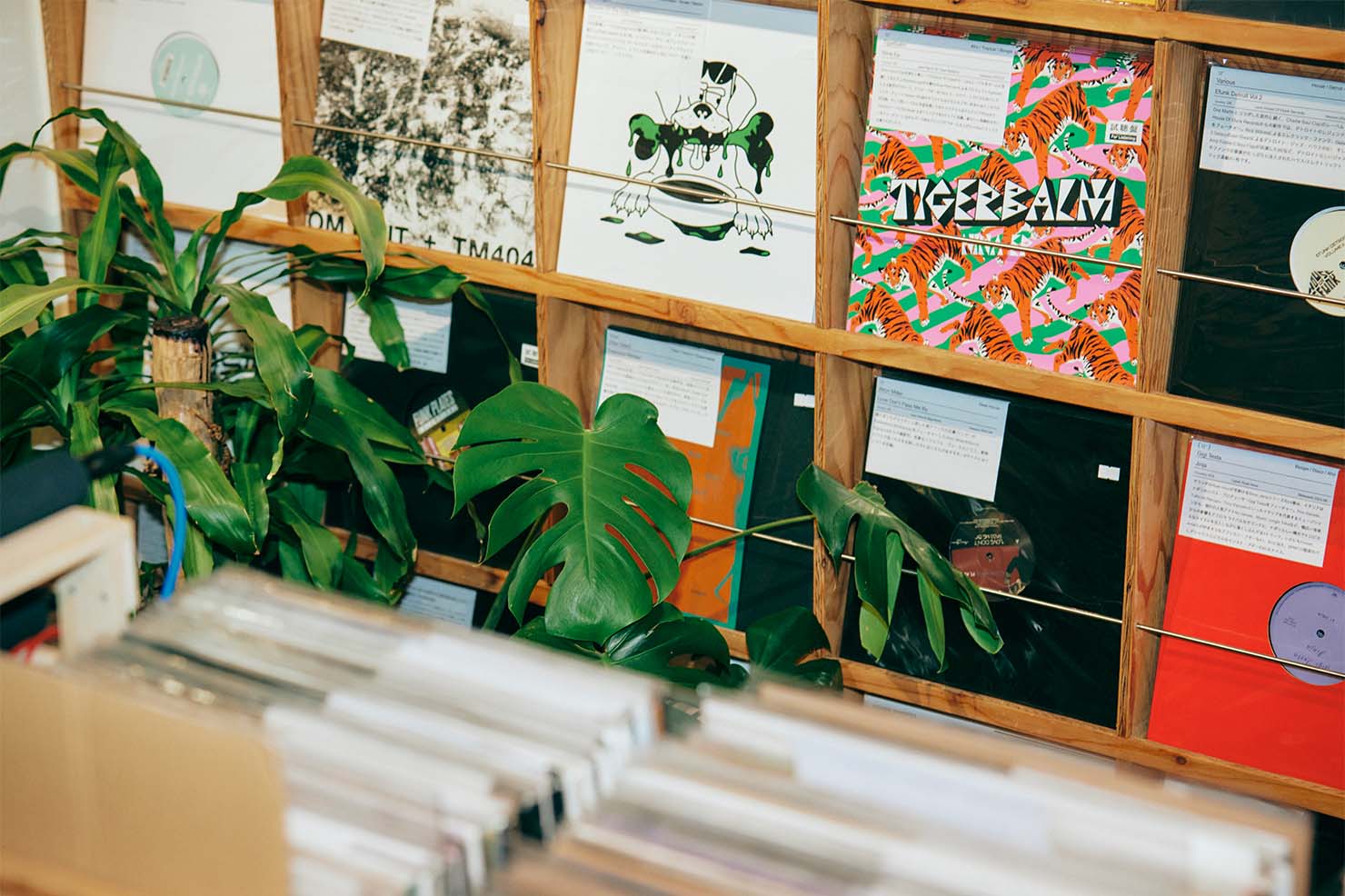RANA-MUSICA RECORD STORE