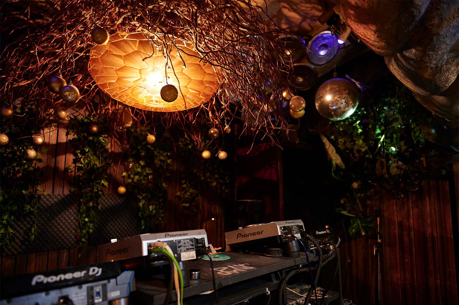 bar bonobo