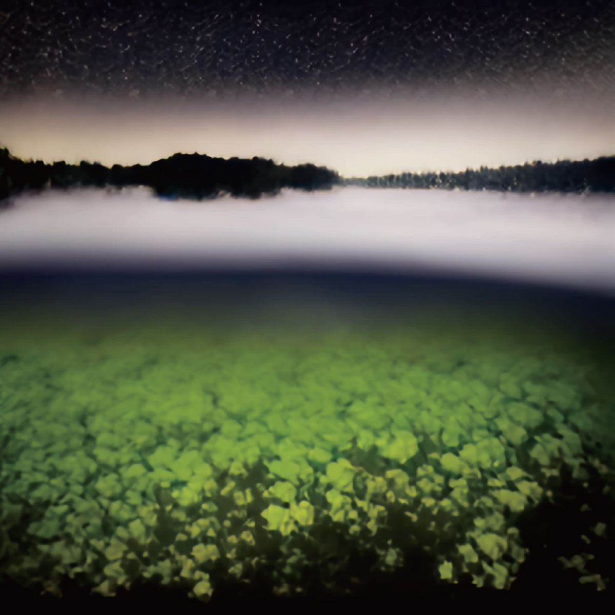 「アンビエント」はいまどうして人を惹きつけるのか。Answers from a Lake〜starRoの格言〜 #06