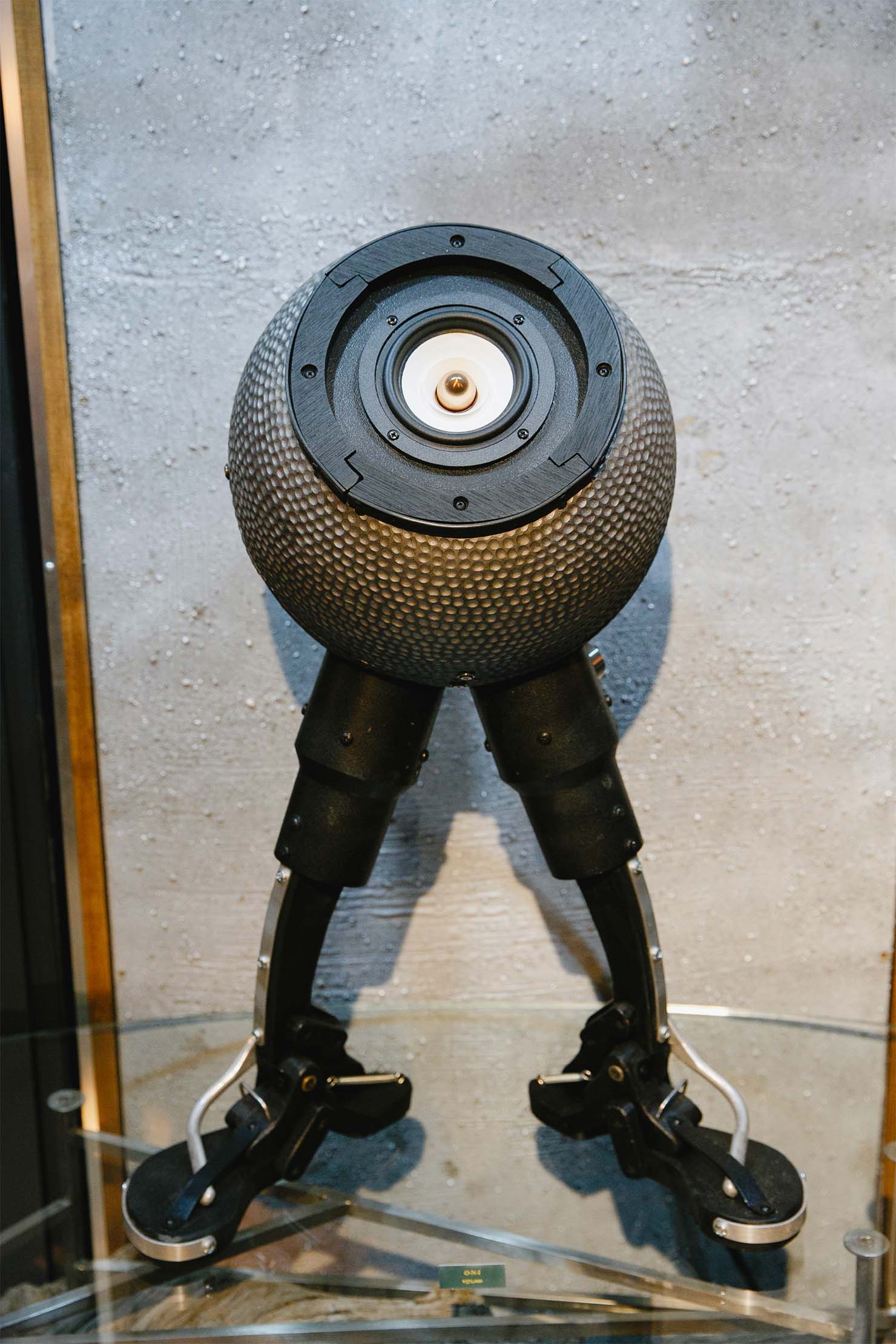 展覧会には伝統工芸の職人や企業とコラボレーションしたモデルも
