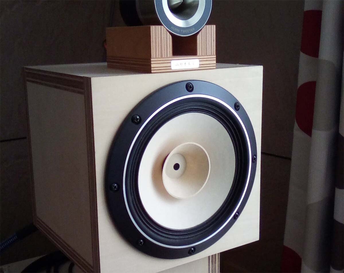 ダブルコーンの例。 FOSTEXのフルレンジFE208-Sol。 こちらは炭山さん宅で愛用されているもの。 