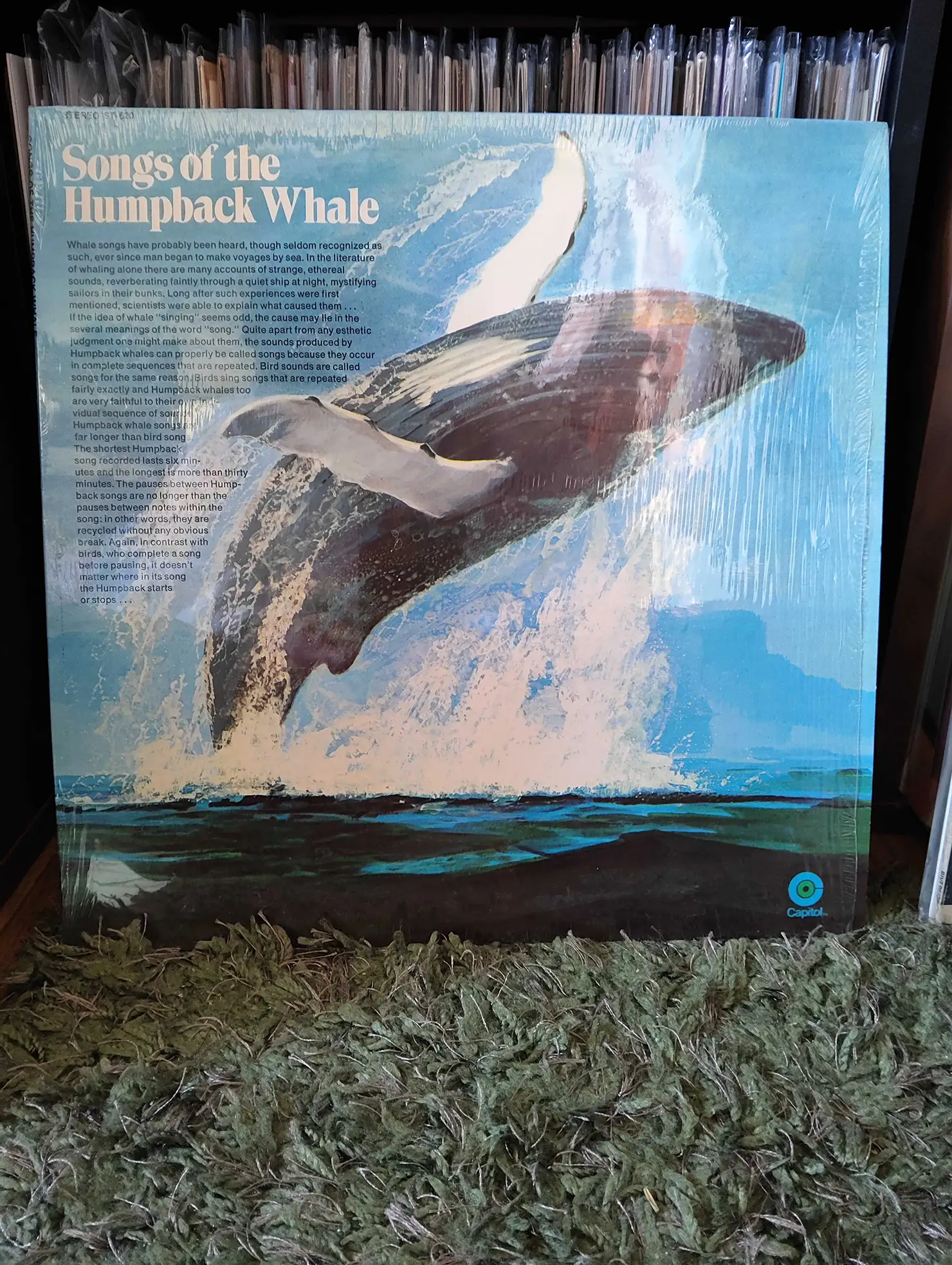 作者不詳『Songs Of The Humpback Whale』
