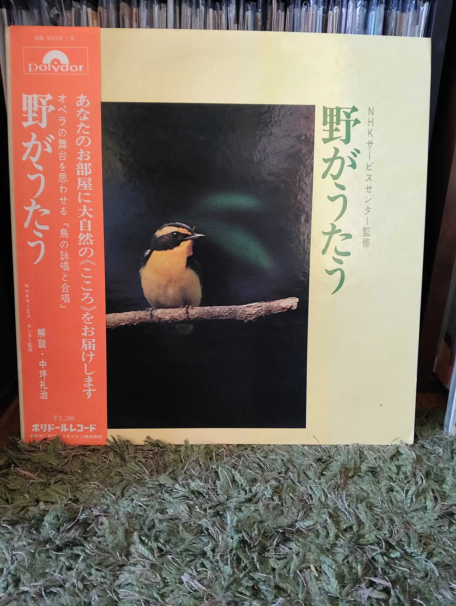 作者不詳『野がうたう』