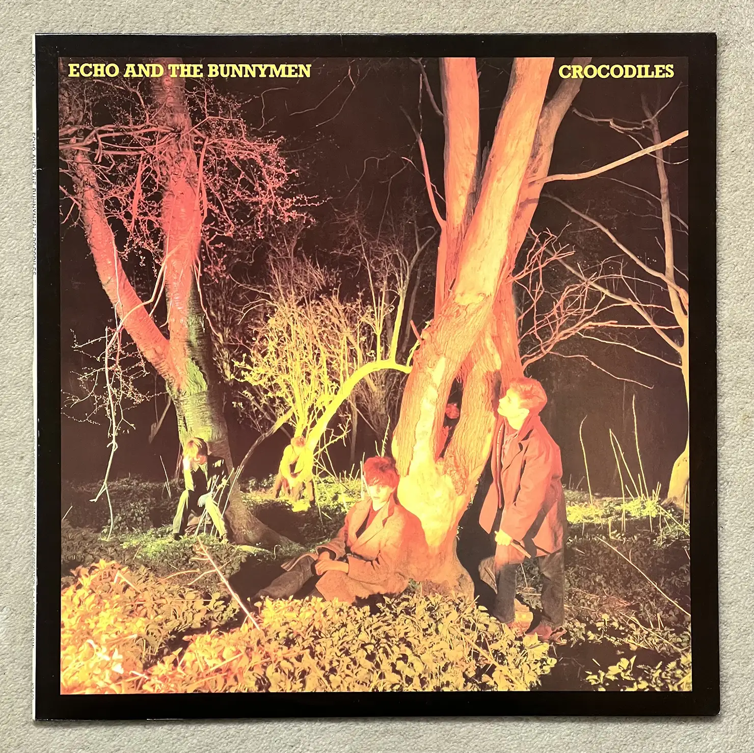 Echo & The Bunnymen「Rescure」