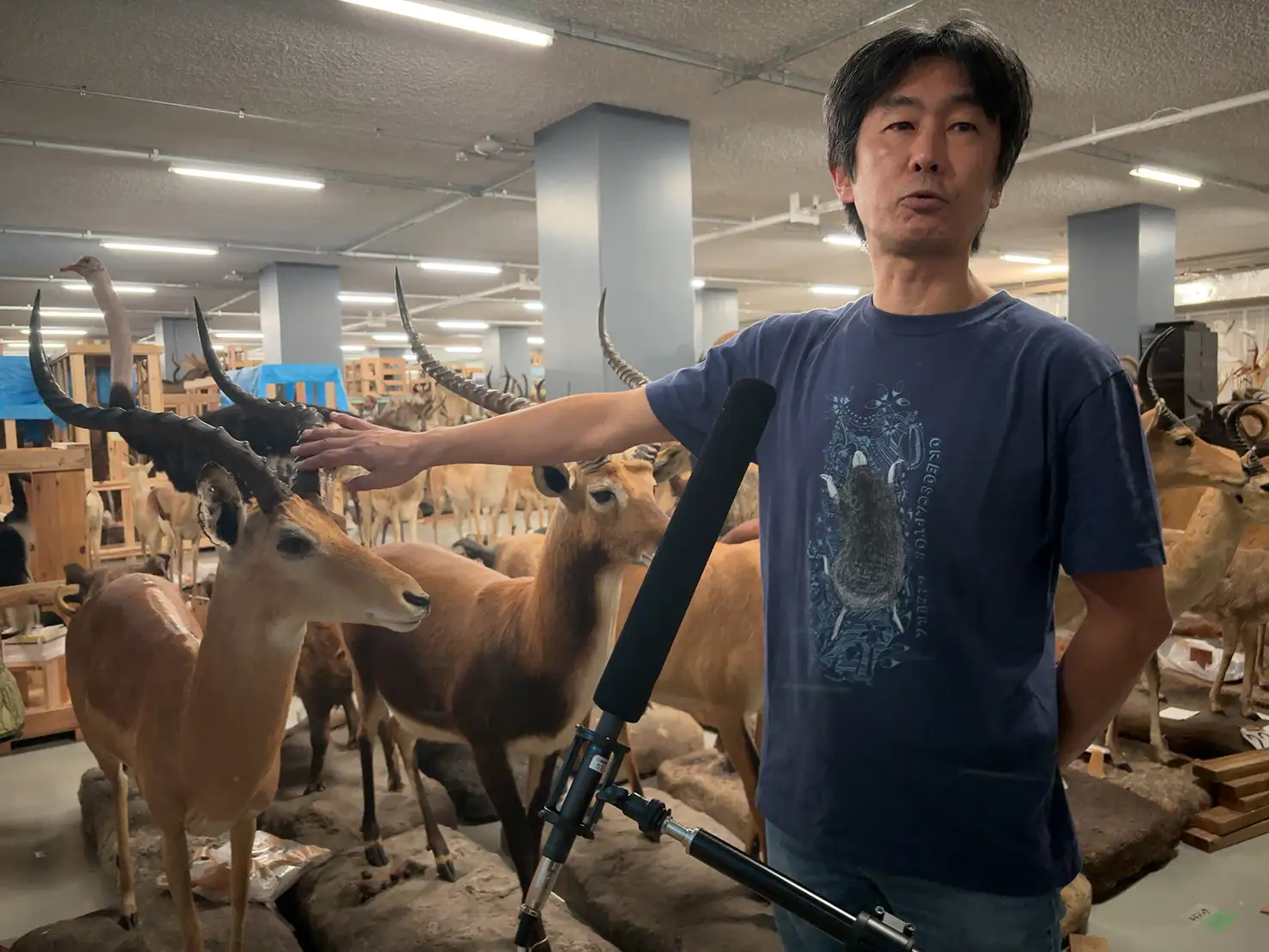 国⽴科学博物館 動物研究部研究主幹・川田伸一郎さんによる音声ガイド収録の様子