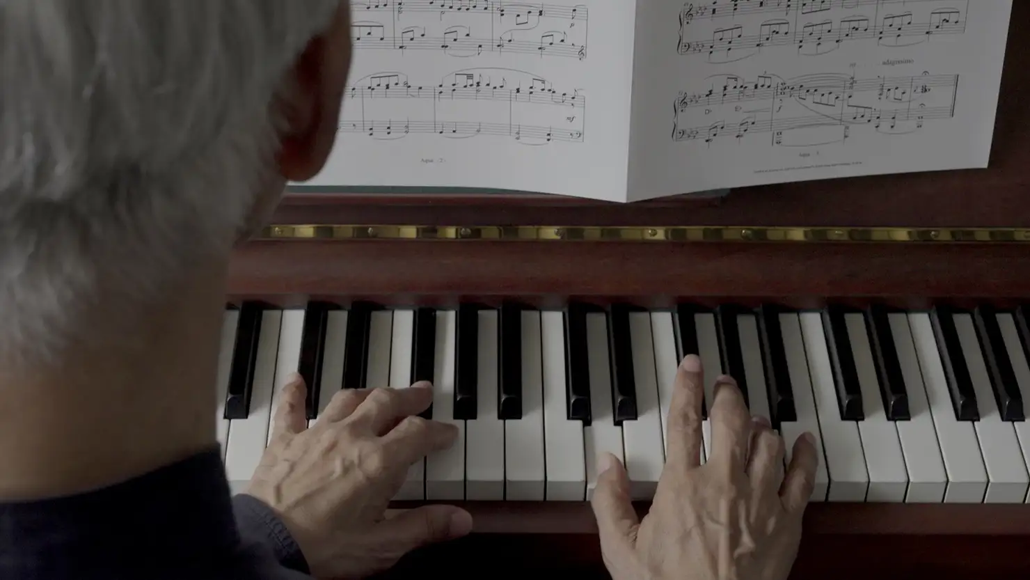 © “Ryuichi Sakamoto: Diaries” Film Partners