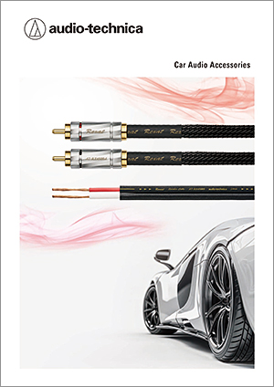 CAR AUDIO ACCESSORIES