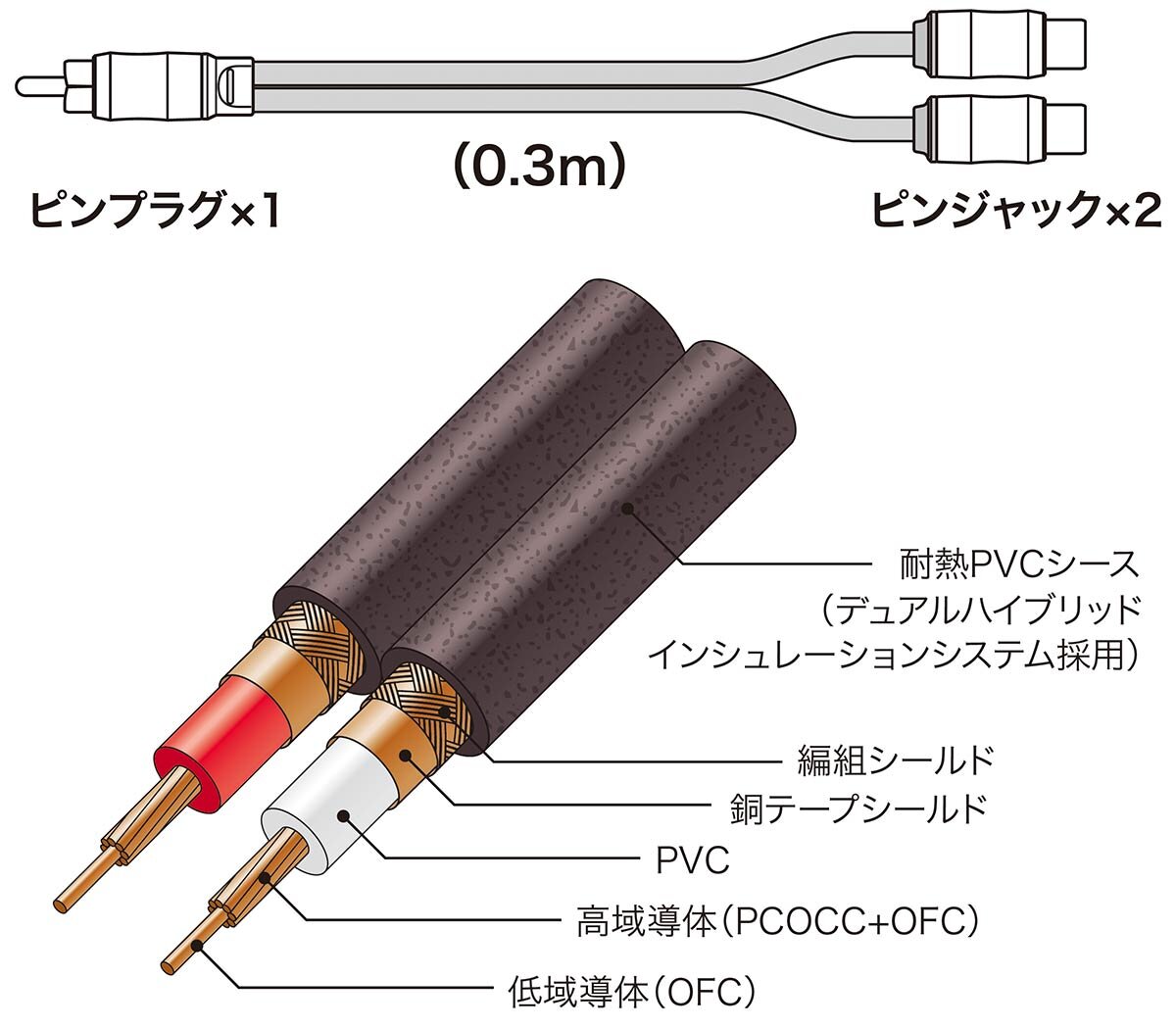 AT-RS24J2：構造イメージ